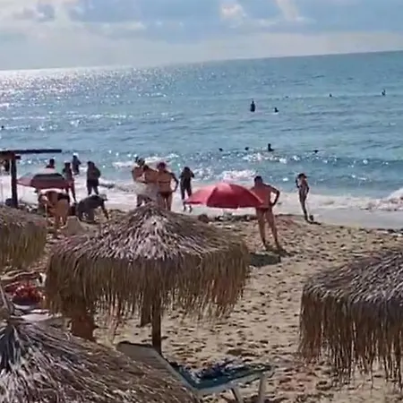 Lejlighed Etara - 1 Rey&mar Saint