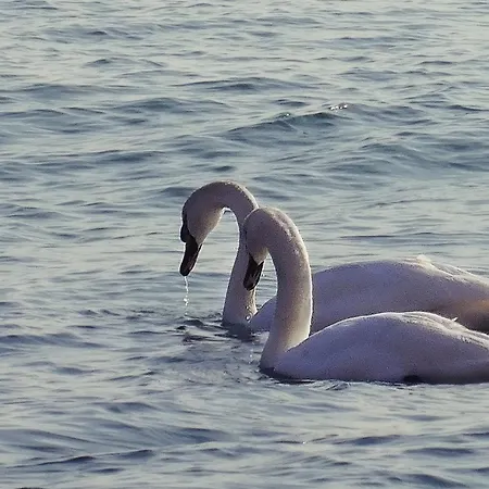 Lejlighed Etara - 1 Rey&mar Saint *