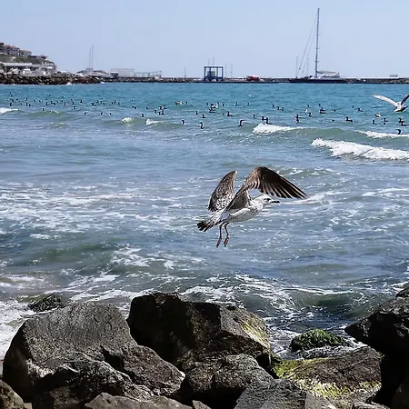 Etara - 1 Rey&mar Saint Lejlighed