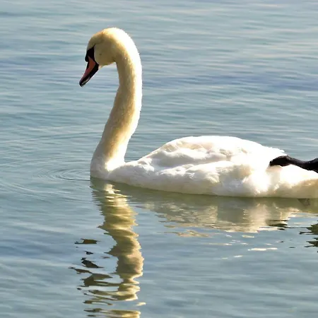 Etara - 1 Rey&mar Saint Lejlighed *