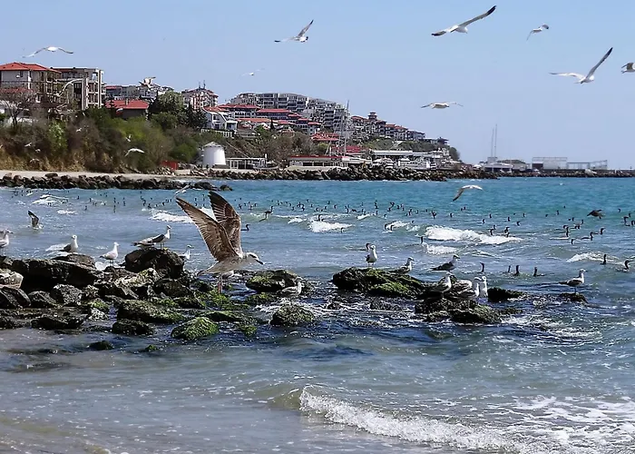 Etara - 1 Rey&mar Saint Appartamento Sveti Vlas