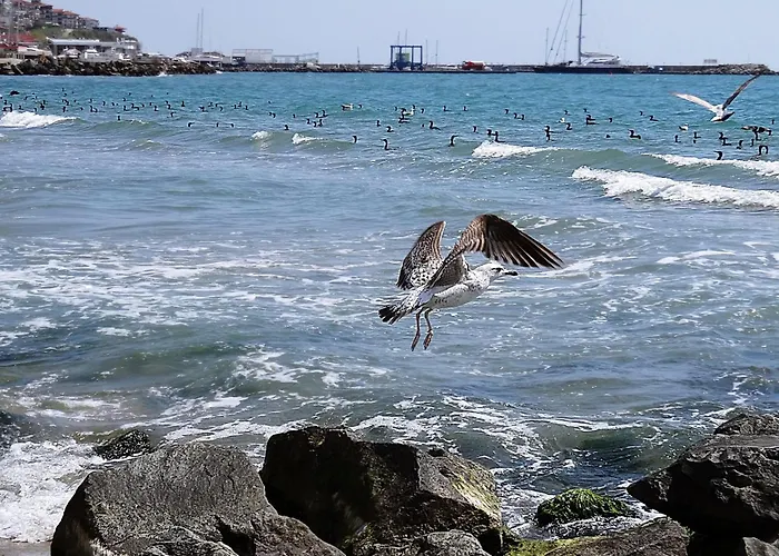 Etara - 1 Rey&mar Saint Appartamento