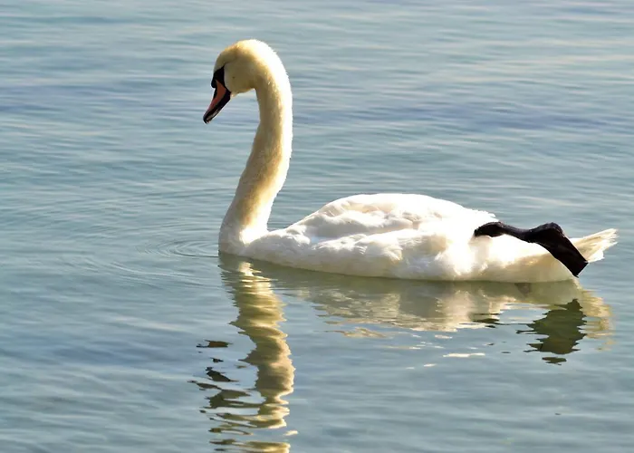 Etara - 1 Rey&mar Saint Appartamento *